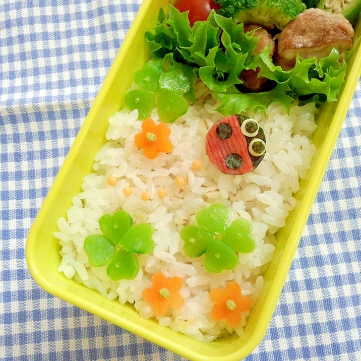 簡単キャラ弁☆クローバーとてんとう虫のお弁当♪